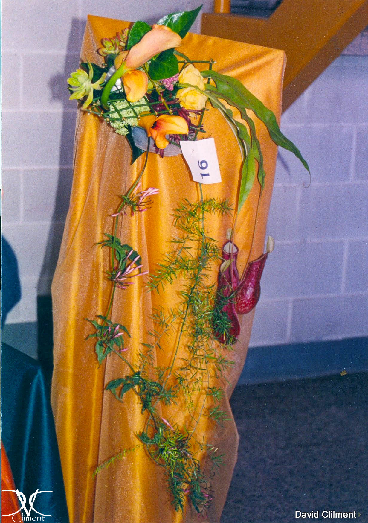 Galería